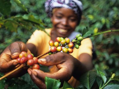 Interview: Coffee + Ethical Biz Talk with Lloyd Bernhardt of Ethical Bean
