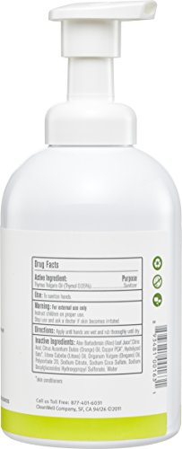 Cleanwell-Natural Foaming Hand Sanitizer - Original Scent