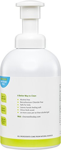 Cleanwell-Natural Foaming Hand Sanitizer - Original Scent