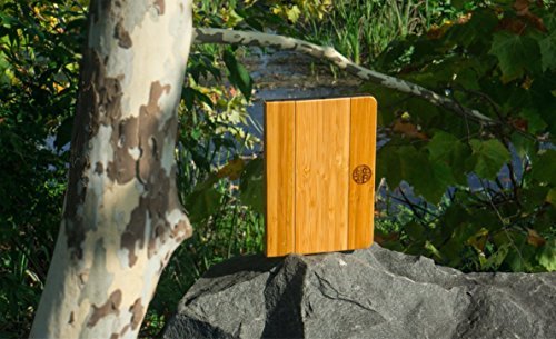 Reveal-Bamboo iPad Folio Case 