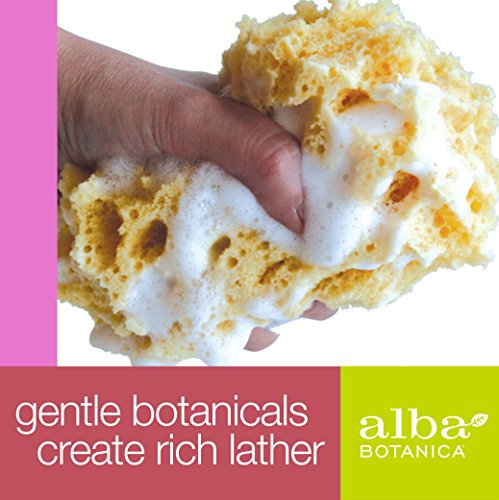Alba Botanica-Alba Botanica Very Emollient, Honey Mango Bath & Shower Gel, 32 Ounce
