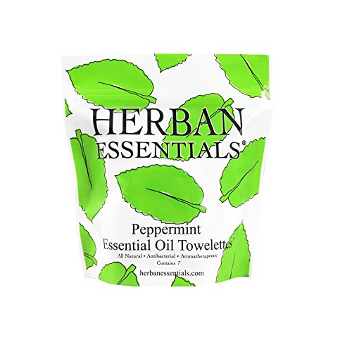 Herban Essentials-Mini Peppermint Towelettes
