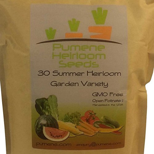 Pumene Heirloom Seeds- American Grown, Heirloom, Organic Garden Seeds