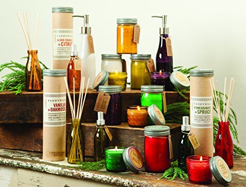 Paddywax Candles-Paddywax Relish Collection Scented Soy Wax Jar Candle, 9.5-Ounce, Balsam Fir
